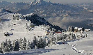 Picswiss SZ-29-22 (2005-04-06)