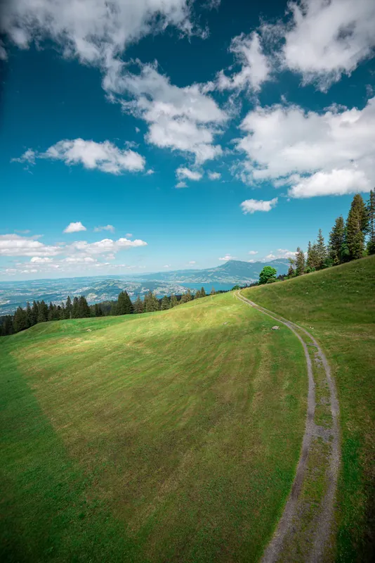Weg über eine Wiese (2020-07-05)