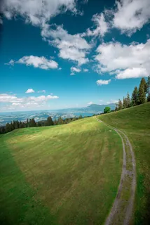 Weg über eine Wiese (2020-07-05)