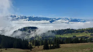 20240906.Rigi Kulm.-013 (2024-09-06 10:49:11)
