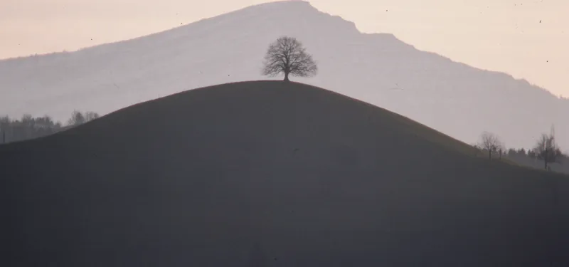 Rigi Kulm from Walchwil mountain, looking southwest (SW) (1980-1982)