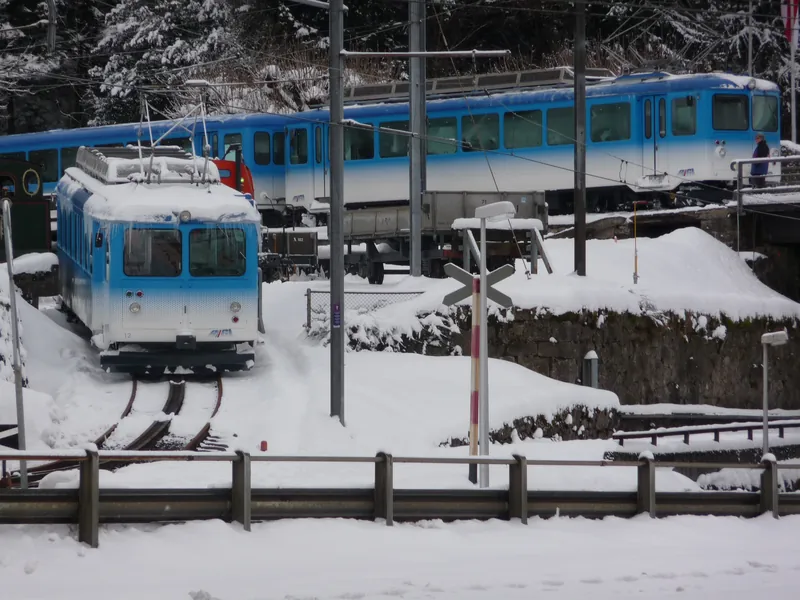 Vitznau, Arth Goldau, special trip on the Rigi Railways (29.01.2010)