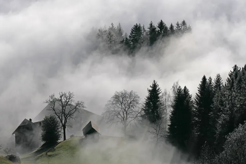 Rigi, sea of fog upper limit (02.01.2020)
