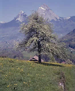 Rigi, the Lauerzersee region, including Rigi (1975)