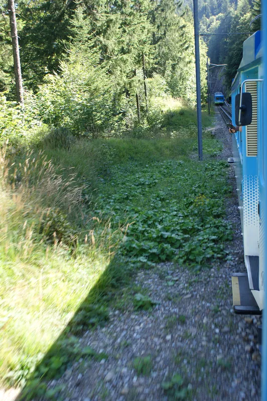 Rack railway Arth-Goldau to Rigi-track-two train sets-06ASD (2023-09-04)