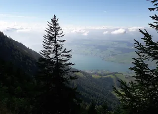 2021091809 Rigibahn (2021-09-18 15:18:40)