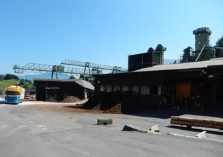 Küssnacht am Rigi, Haltikon, Schillinger Holz (08.09.2015)