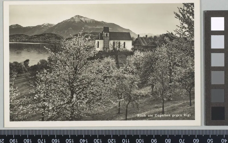Risch am Zugersee gegen Rigi