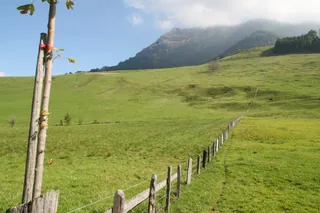 Rigi_Kulm_104