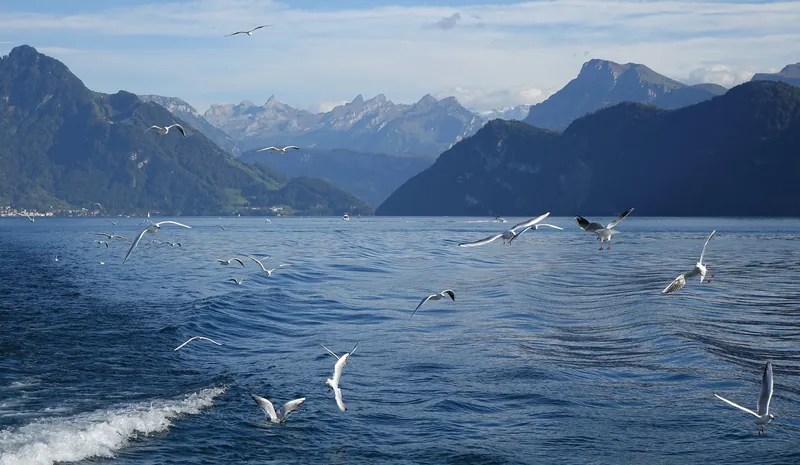 141010Rigi, Schwyz, Switzerland31 (2014-10-10 11:18:49)