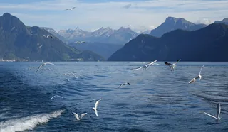 141010Rigi, Schwyz, Switzerland31 (2014-10-10 11:18:49)