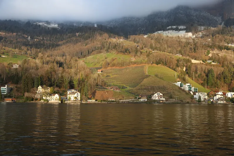 Rebberg in Vitznau (2025-01-13 16:58:08)