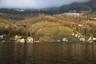 Rebberg in Vitznau (2025-01-13 16:58:08)