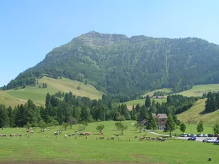 Seebodenalp Rigi (2010-07-08)
