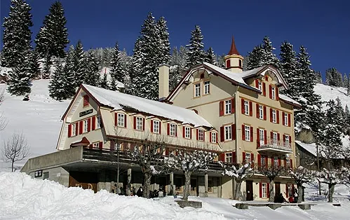 Picswiss SZ-29-66 (2005-12-30)