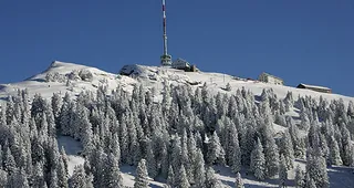 Picswiss SZ-29-36 (2005-12-30)