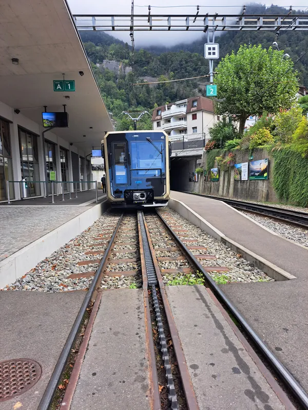 20240906.Vitznau–Rigi-Bahn.-035 (2024-09-06 12:45:37)