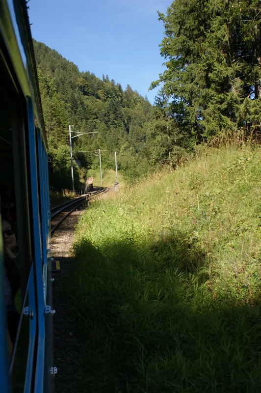 Rack railway Arth-Goldau to Rigi-track-04ASD (2023-09-04)