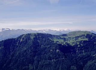 Rigi, North Slope (17.06.2007)