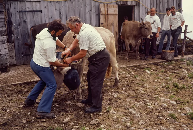 Rigi, Preparations for the Alpine Ascent (1975)