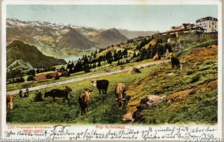 Rigi-Scheidegg (1906)