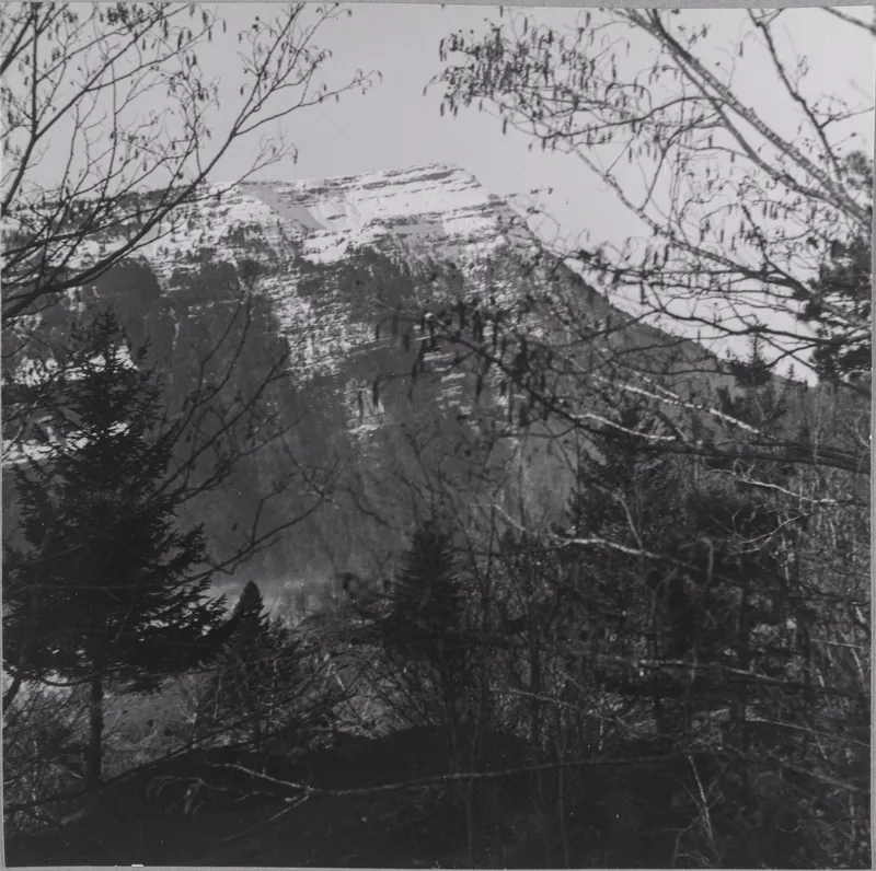 Rigi in the ascent to Gnipen [blurred photo]. (30.01.1944)