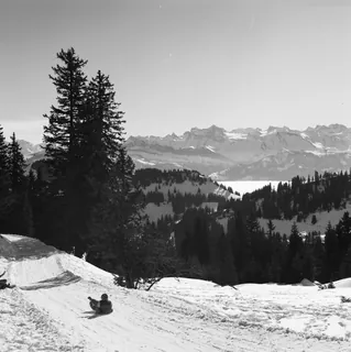 Rigi-Kulm (SZ), panorama Central Swiss Alps, view to south-southeast (SSE) (30.01.1991)