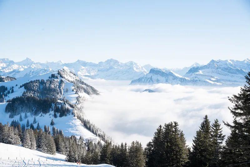 Au sommet du Rigi (2021-01-10 15:20:08)