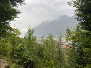 CH Ingenbohl, Ingenbohler Wald 008 (2022-09-29 17:49:16)