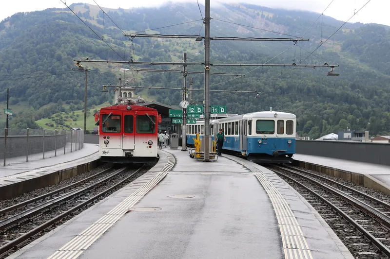 20260718E217 Bt31 Bt22 Arth-Goldau (2026-07-18 12:36:22)