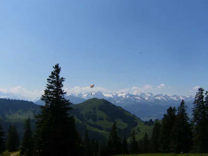 Rigi.5367 (2015-06-06 11:15:36)