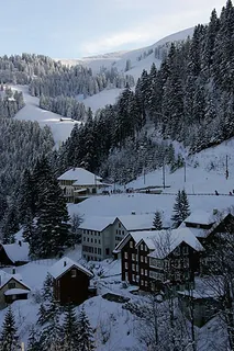 Picswiss SZ-29-70 (2005-12-30)