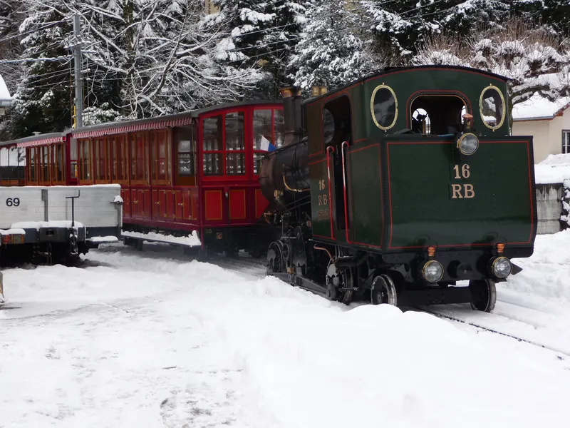Vitznau, Arth Goldau, special trip on the Rigi Railways (29.01.2010)