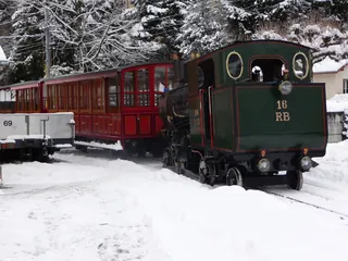 Vitznau, Arth Goldau, special trip on the Rigi Railways (29.01.2010)
