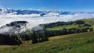 20240906.Rigi Kulm.-012 (2024-09-06 10:48:59)