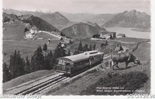 Rigi-Staffel (1600 m) Blick gegen Berneralpen u. Pilatus (03.05.1954)