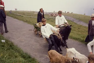 Rigi, Preparations for the Alpine Ascent (1975)