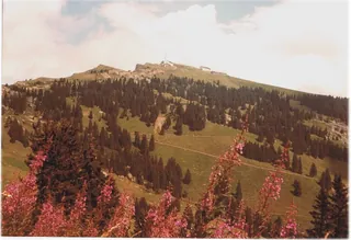 Blick Rigi Kulm (1982)