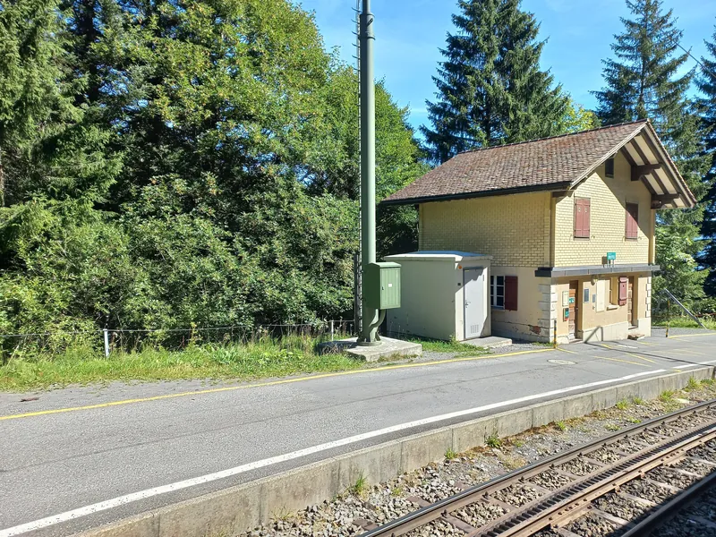 Rack railway Arth-Goldau to Rigi-railway station Rigi Fruttli-02ASD (2023-09-04)