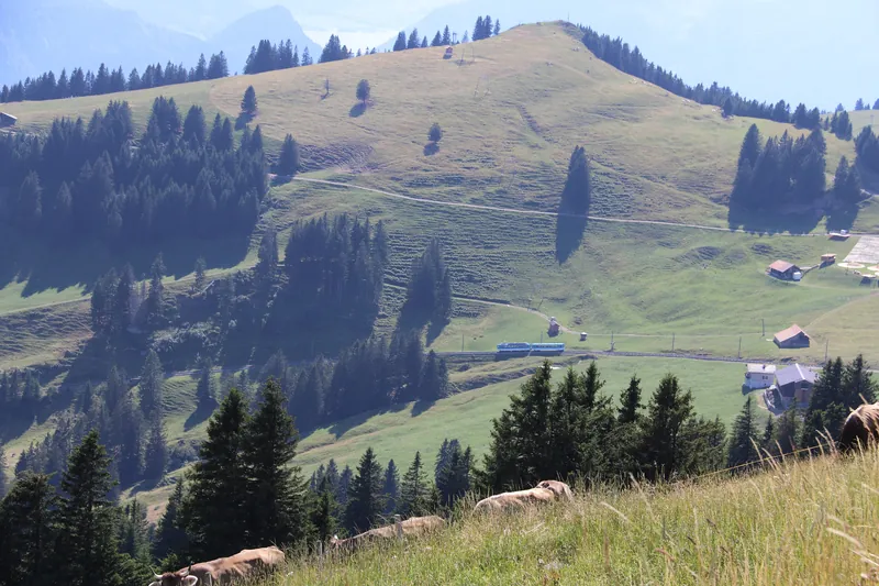 20260717E156 BDhe14-Bt24 Rigi Kulm (2026-07-17 16:29:09)