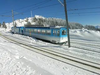 Rigi train (2007-11-18 19:59)