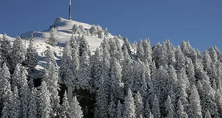 Picswiss SZ-29-32 (2005-04-06)