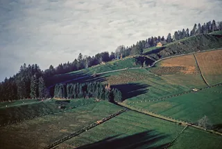 Rigi, Möräne on Seebodenalp (1985)