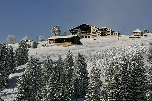 Picswiss SZ-29-65 (2005-12-30)