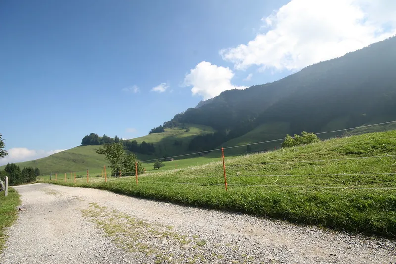 Rigi_Kulm_40
