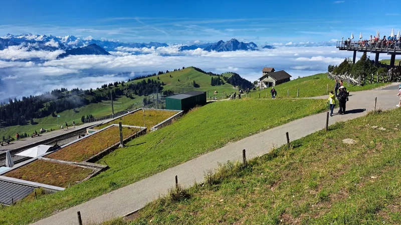 20240906.Rigi Kulm.-037 (2024-09-06 11:43:56)