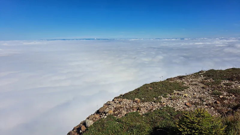20240906.Rigi Kulm.-024 (2024-09-06 11:00:29)