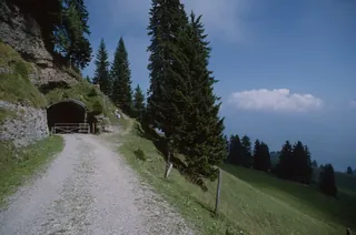 Route of the Rigi-Kaltbad-Scheidegg Railway (RSB) (8/1994)