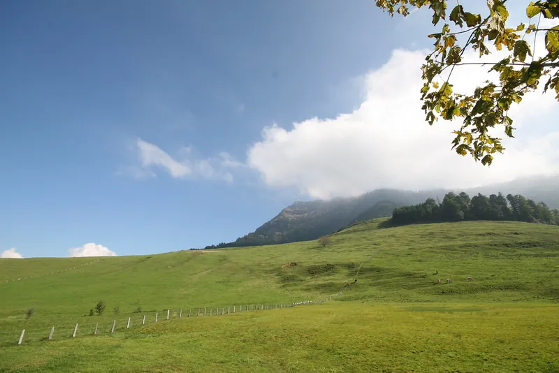 Rigi_Kulm_98