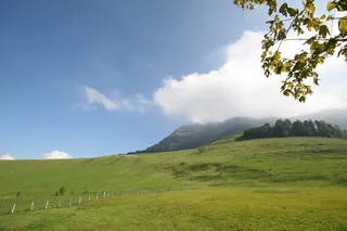 Rigi_Kulm_98
